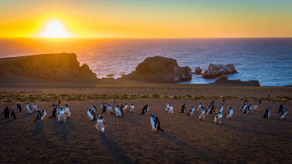 Atardecer Con Pingüinos foto 2