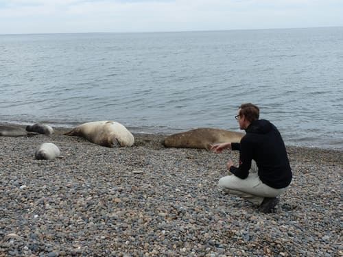 Punta Ninfas 4x4: Cliffs & Elephant Seal Colony foto 5