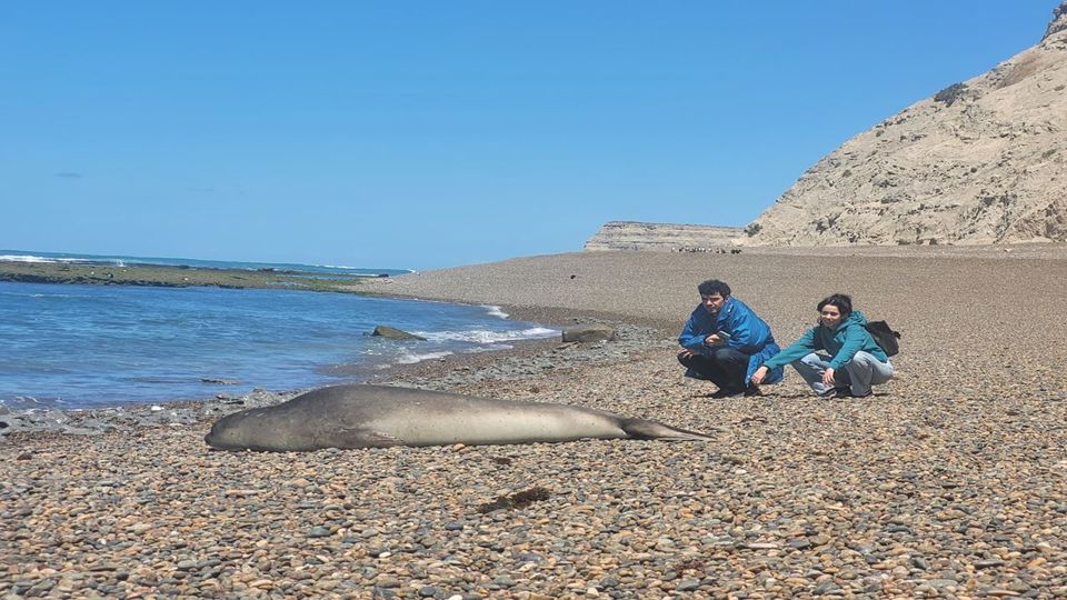 Punta Ninfas 4x4: Cliffs & Elephant Seal Colony foto 2