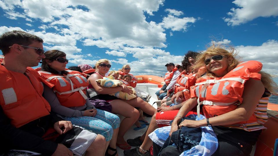 Dolphin Watching from Playa Unión foto 3