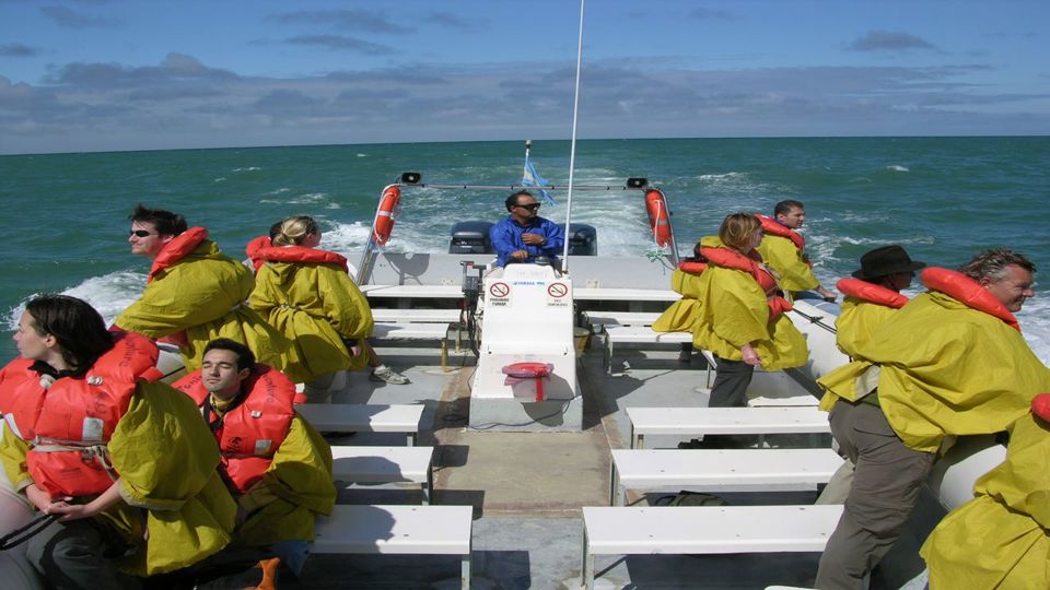 Dolphin Watching from Playa Unión foto 1