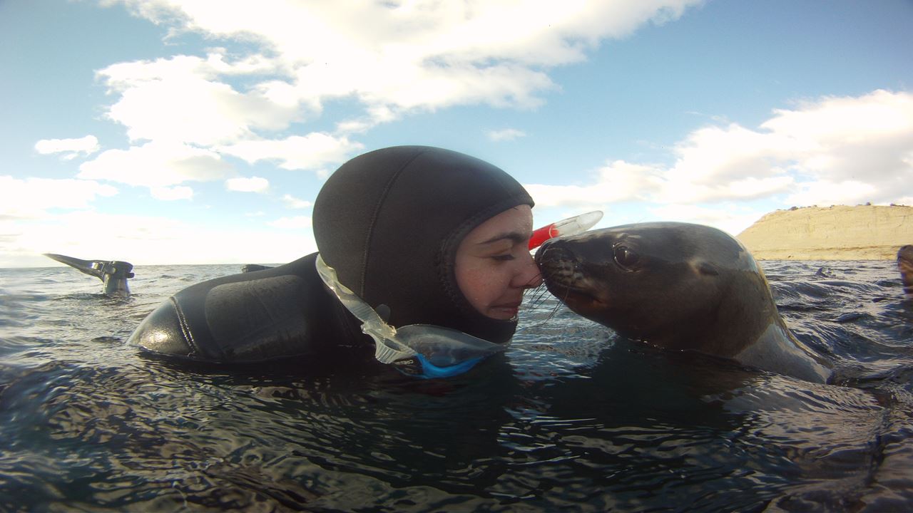 Diving - Submarine Baptism (2)