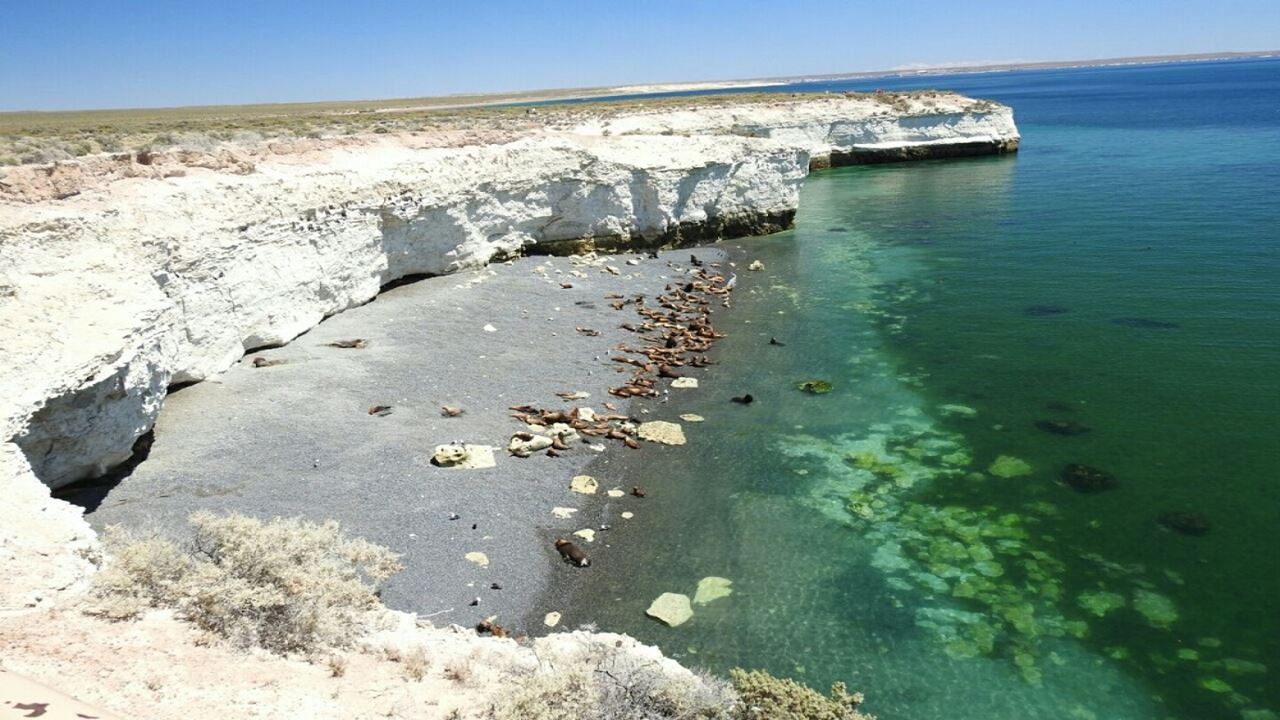 City Tour Puerto Madryn E Punta Loma (1)