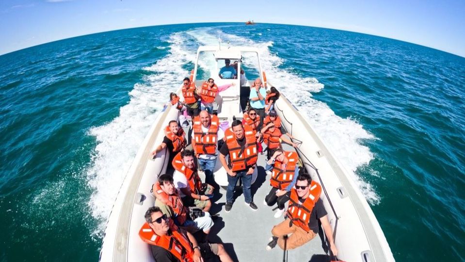 Dolphin Watching & Paleontology Museum Visit foto 3