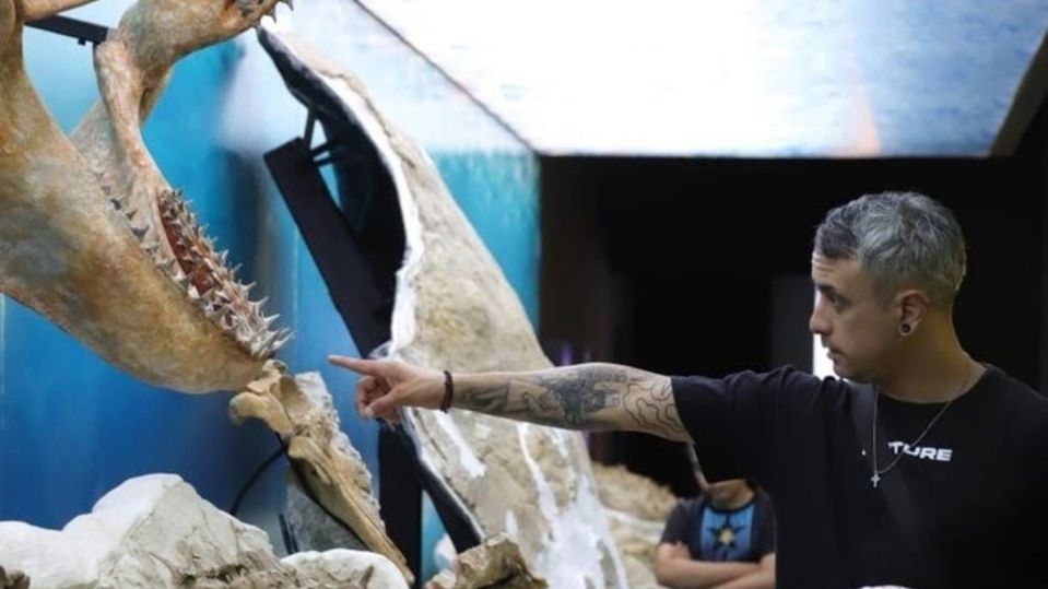 Dolphin Watching & Paleontology Museum Visit foto 6