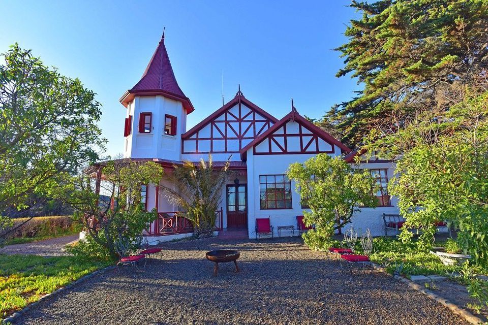 Farm Day at Punta Ninfas & El Peral Penguin Colony foto 3