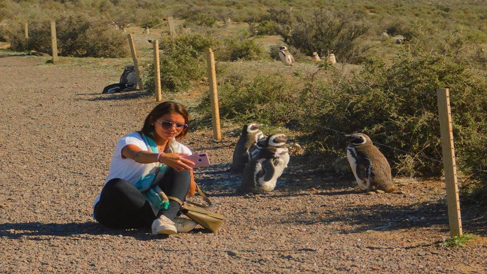 Punta Tombo Cruise foto 2