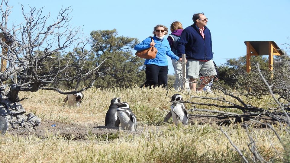Punta Tombo Penguin Colony & Isla Escondida foto 2