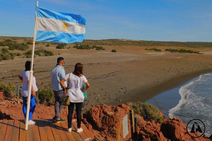 Punta Tombo Tour With Isla Escondida In Puerto Madryn (6)