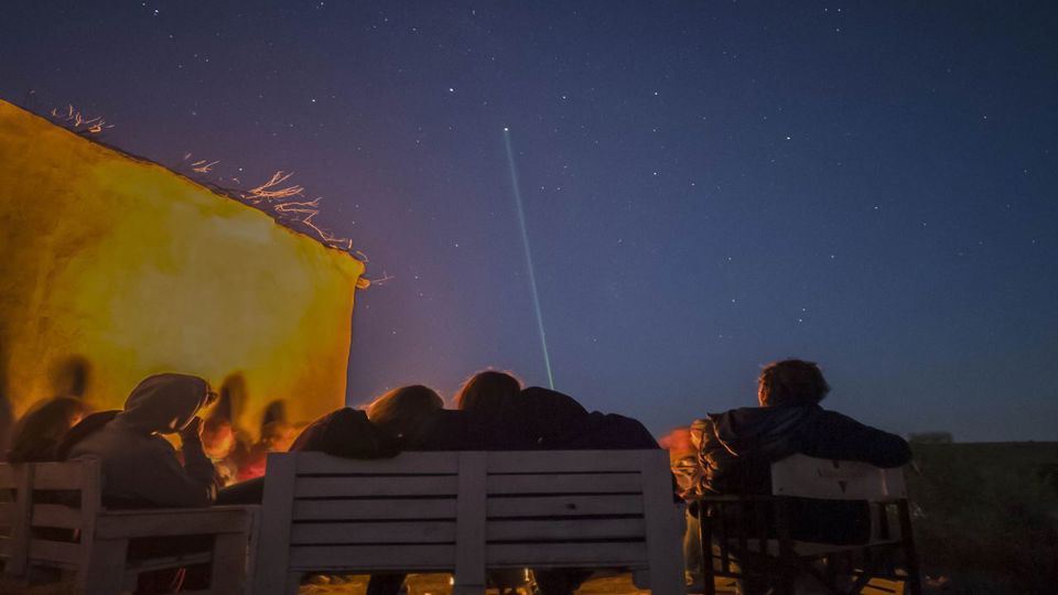 Whale Watching & Full Moon at Las Canteras Beach foto 5