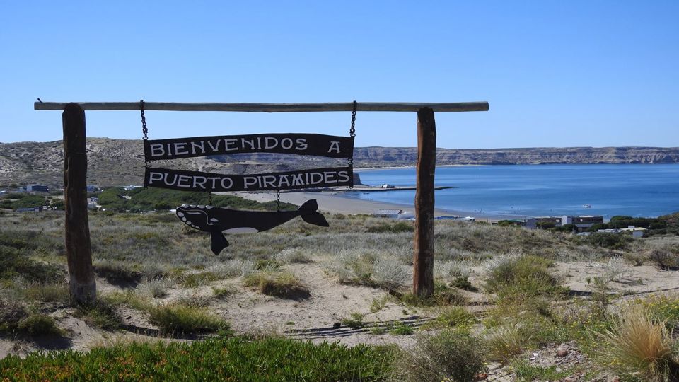 Full-Day at Peninsula Valdés with Transfers foto 3