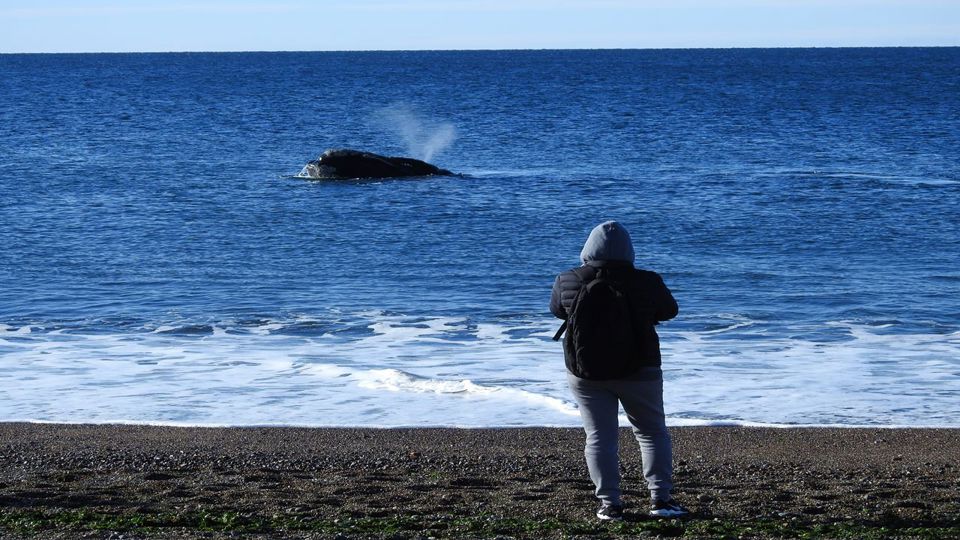 Full-Day at Peninsula Valdés with Transfers foto 4