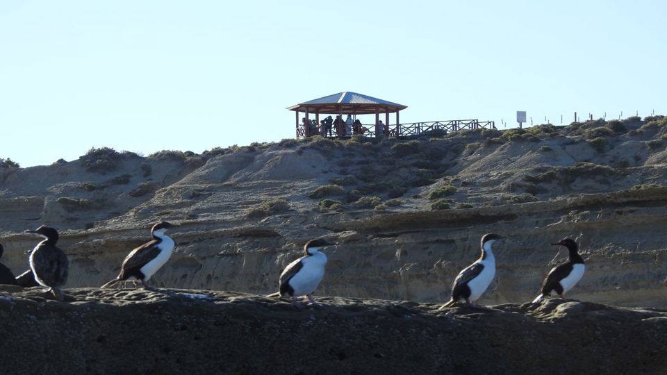 Full-Day at Peninsula Valdés with Transfers foto 1