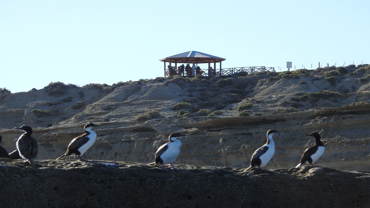 Unmissable Valdes Peninsula (0)