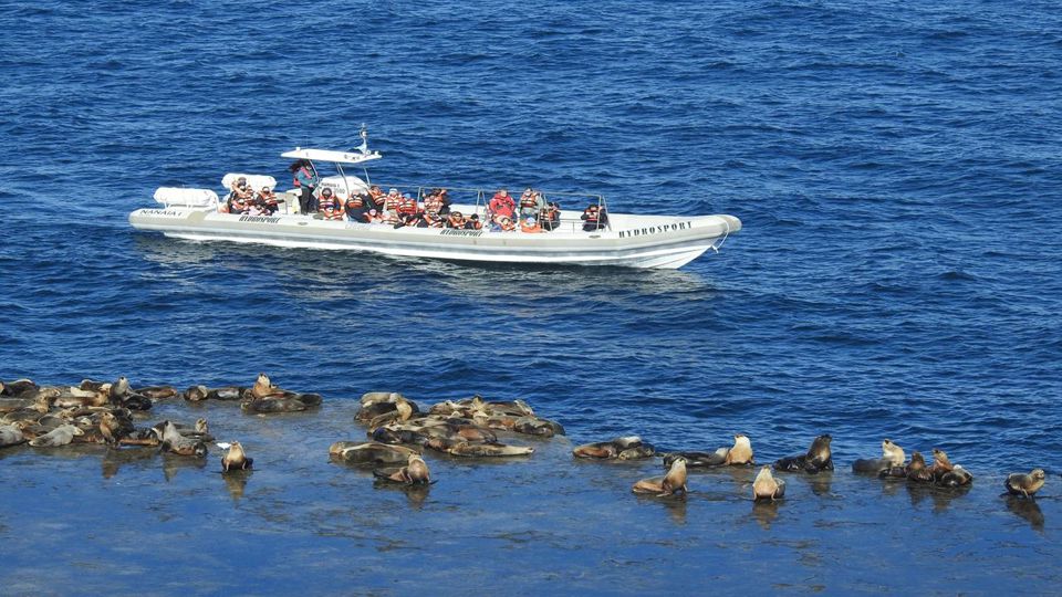 Full-Day at Peninsula Valdés with Transfers foto 6