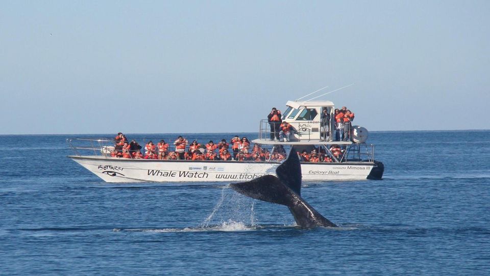 Península Valdés y Avistaje de Ballenas en Puerto Pirámides foto 3