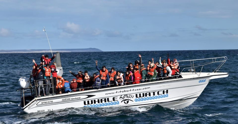 Península Valdés y Avistaje de Ballenas en Puerto Pirámides foto 9