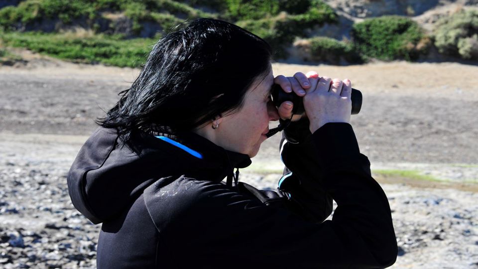 Península Valdés y Avistaje de Ballenas en Puerto Pirámides foto 4