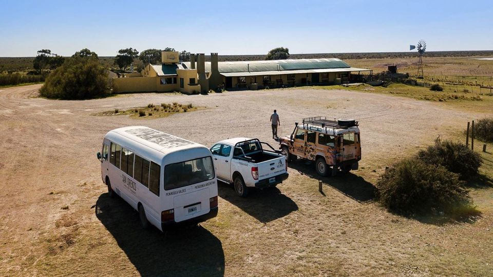 Dia com Pinguins na Estância San Lorenzo foto 5