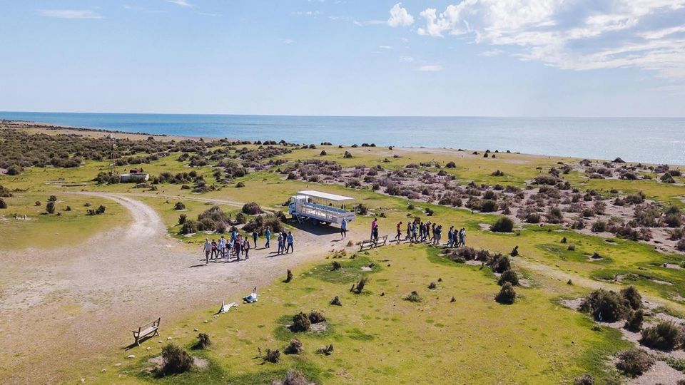 Dia com Pinguins na Estância San Lorenzo foto 8