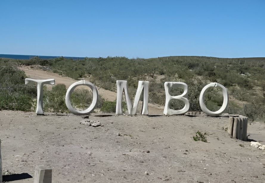Punta Tombo And Bahia Vera (6)