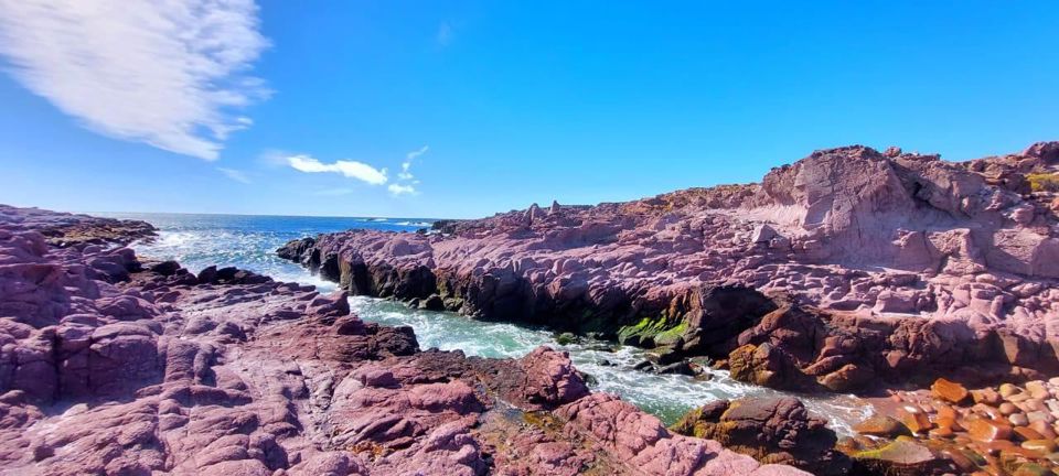 Estancia Bahía Vera & Punta Tombo Penguins foto 4