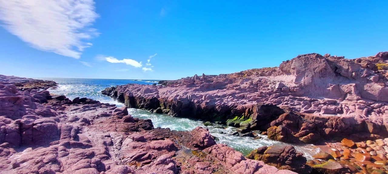 Punta Tombo And Bahia Vera (3)