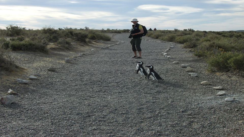 Estancia Bahía Vera & Punta Tombo Penguins foto 5