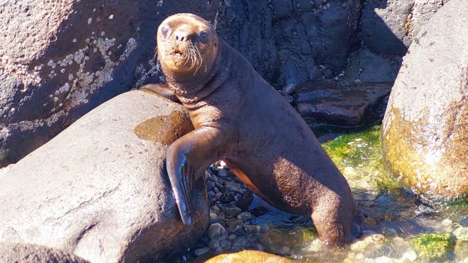 Estancia Bahía Vera & Punta Tombo Penguins foto 2