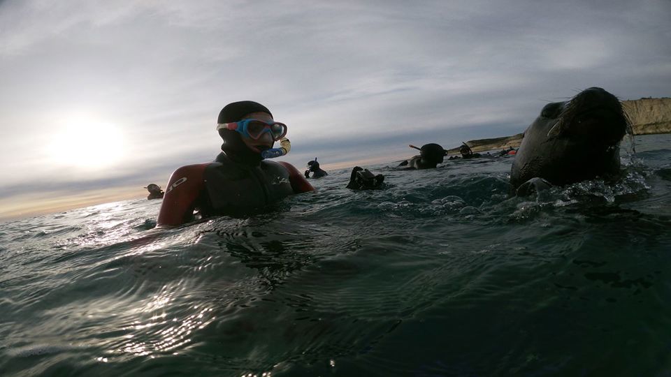 Snorkeling with Sea Lions in Punta Loma foto 9