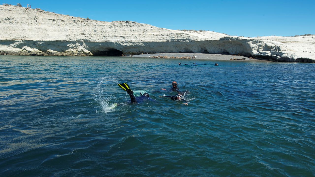 Snorkeling With Seal Wolves (2)