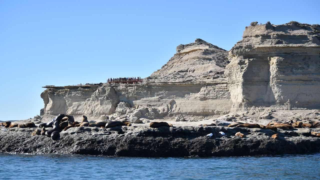 Offer: Valdes Peninsula And Airport Transfers foto 1