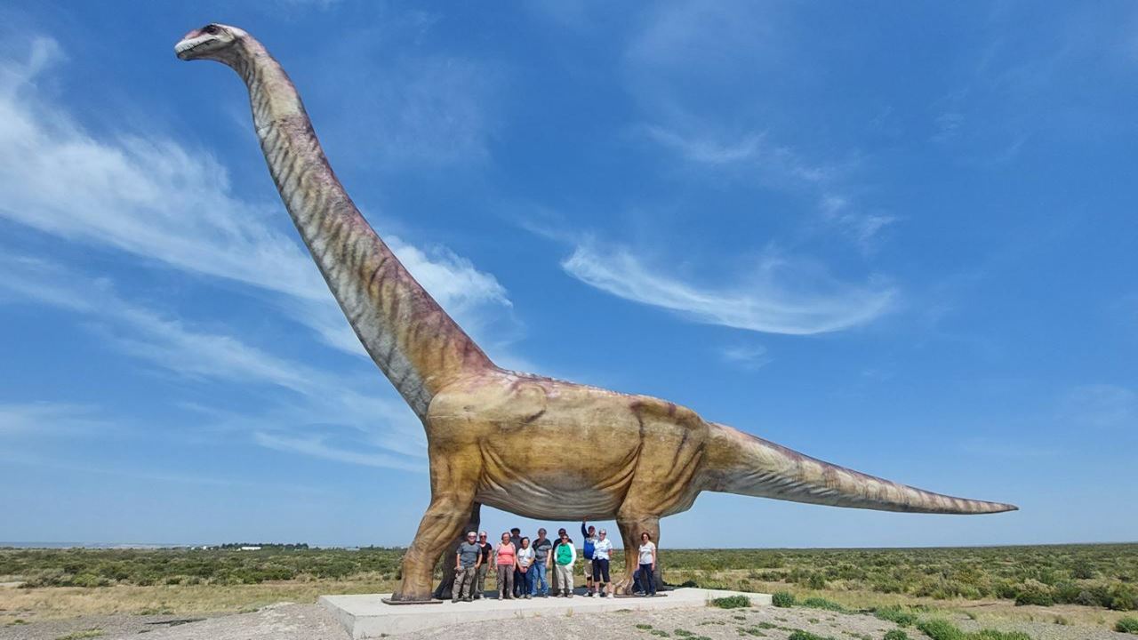 Offer: Punta Tombo And Airport Transfers foto 2