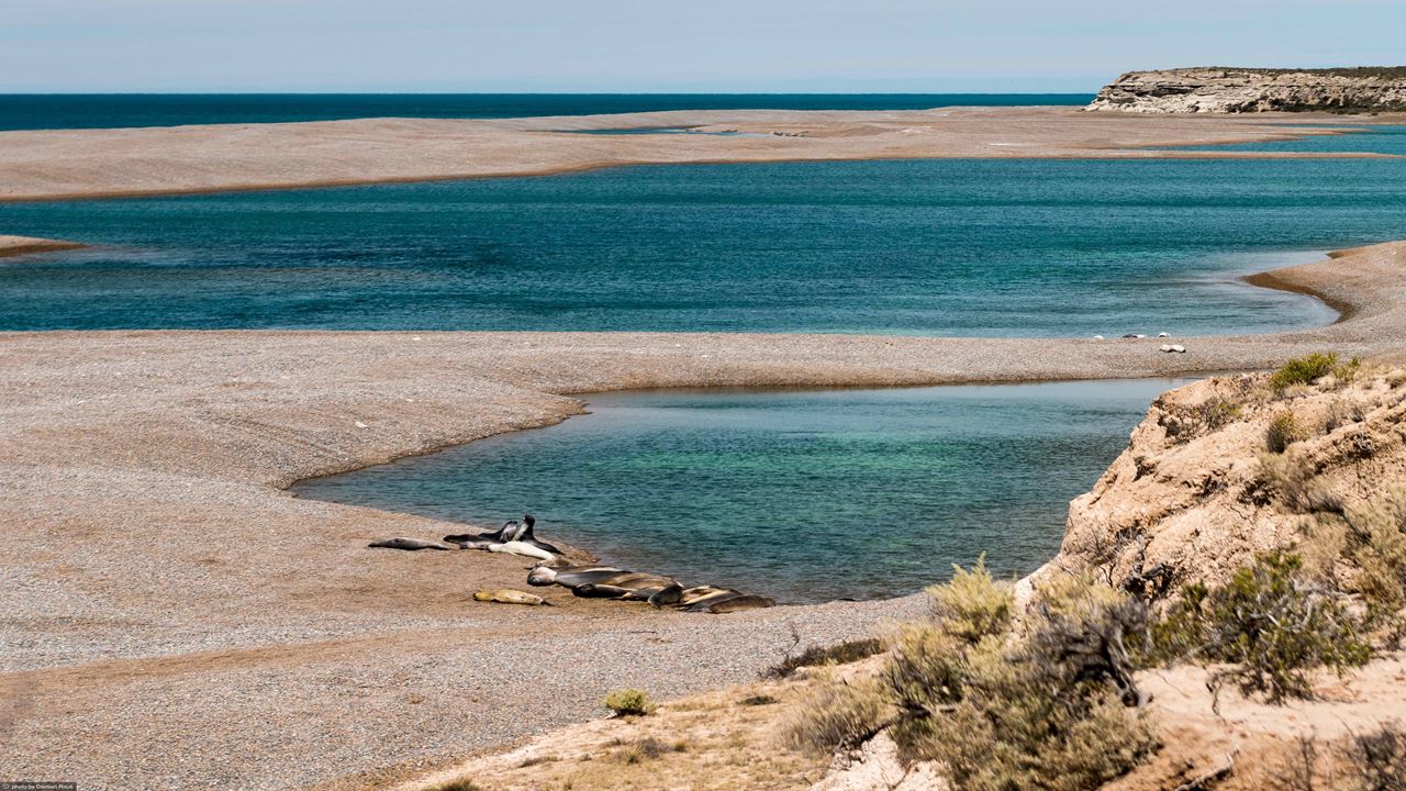 Paquete Puerto Madryn Clasico foto 3