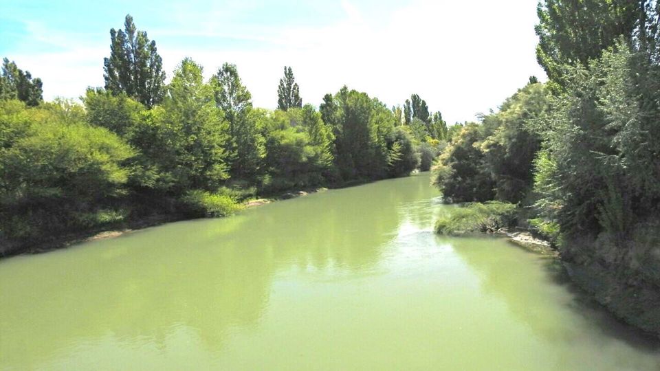 Lower Chubut Valley & Welsh Colony in Gaiman foto 3
