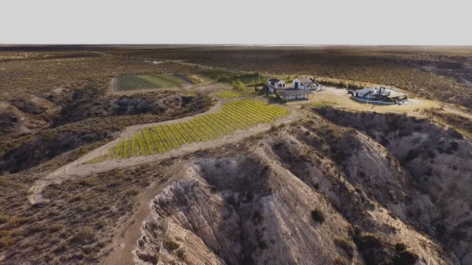 Punta Rombo Penguins & Ranch Lunch foto 3