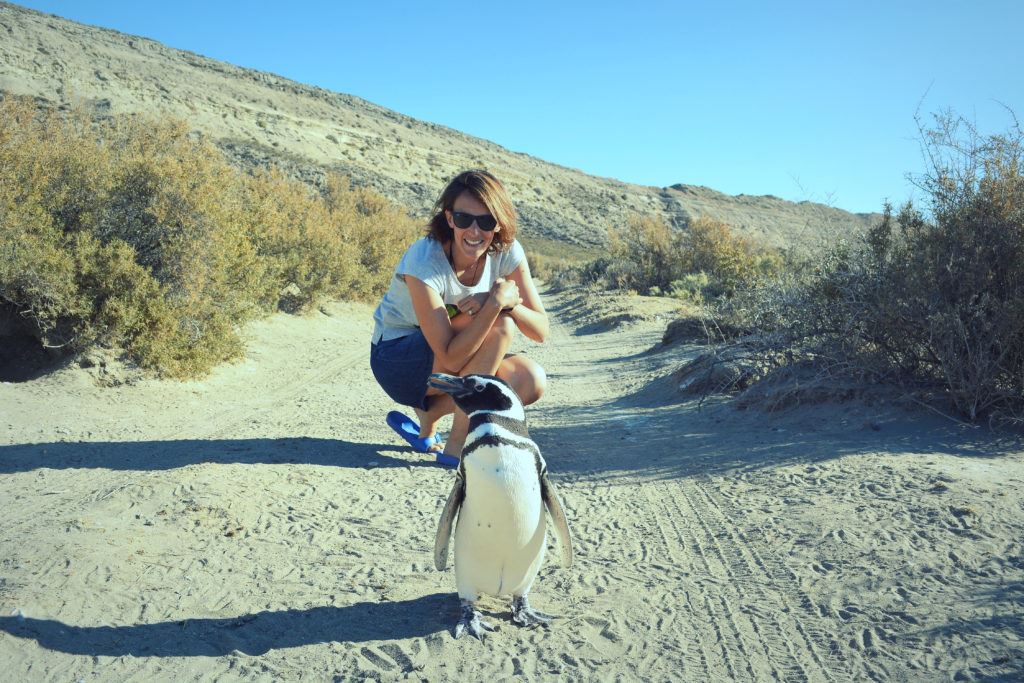 Dia De Campo E Visita À Colônia De Pinguins